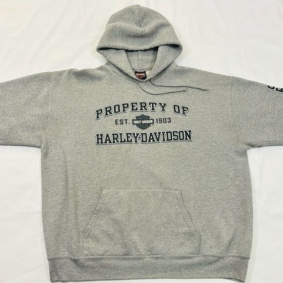 Y2K Harley Davidson Eagle Graphic Hoodie - Picture 4 of 10